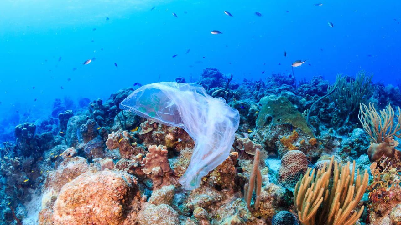 A Plastic Ocean still 6