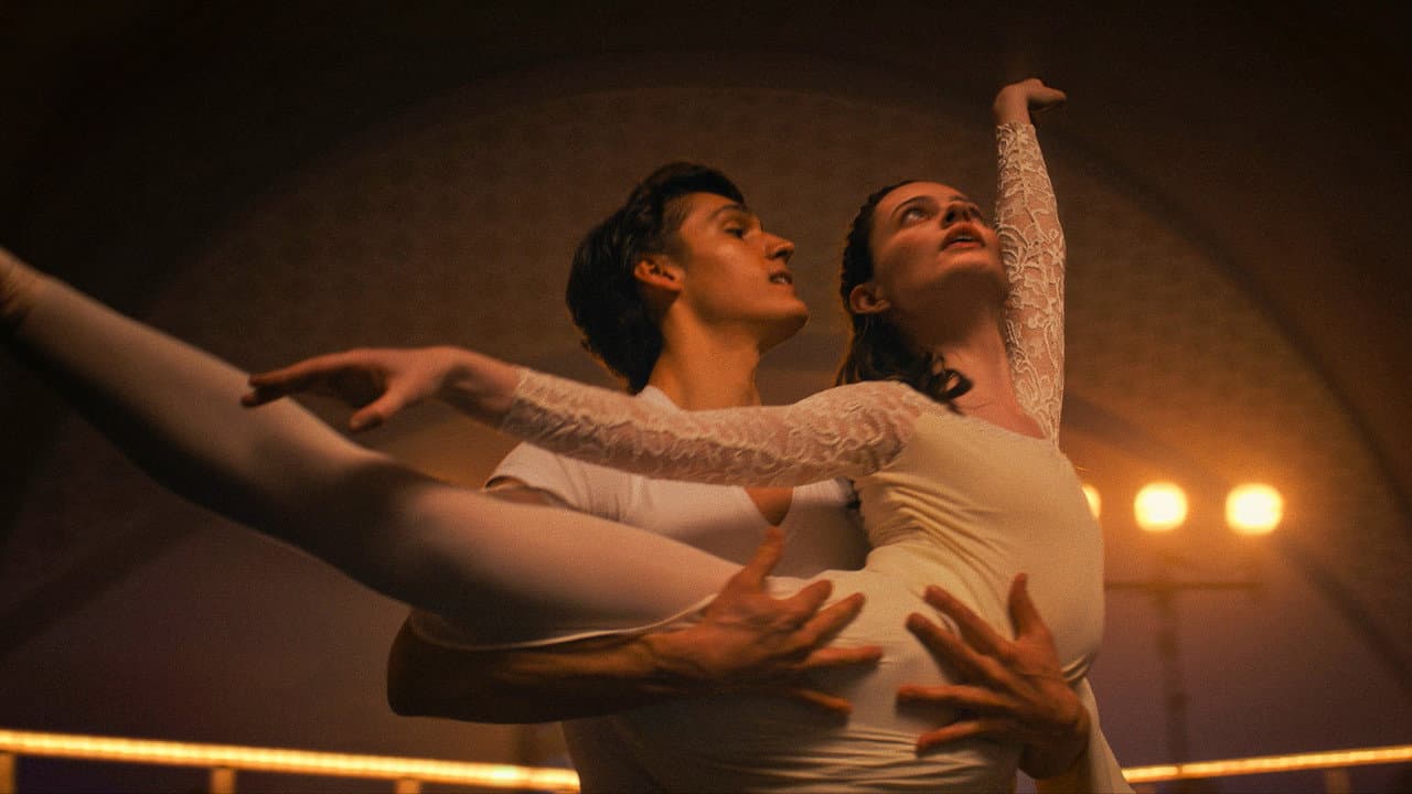 Birds of Paradise still 8