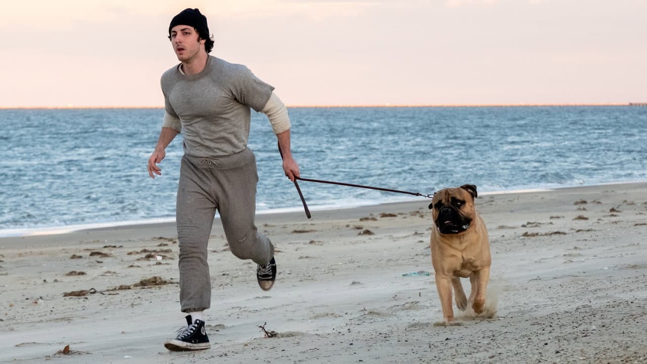 I Play Rocky (2026) Movie News & Updates | Peter Farrelly still 2