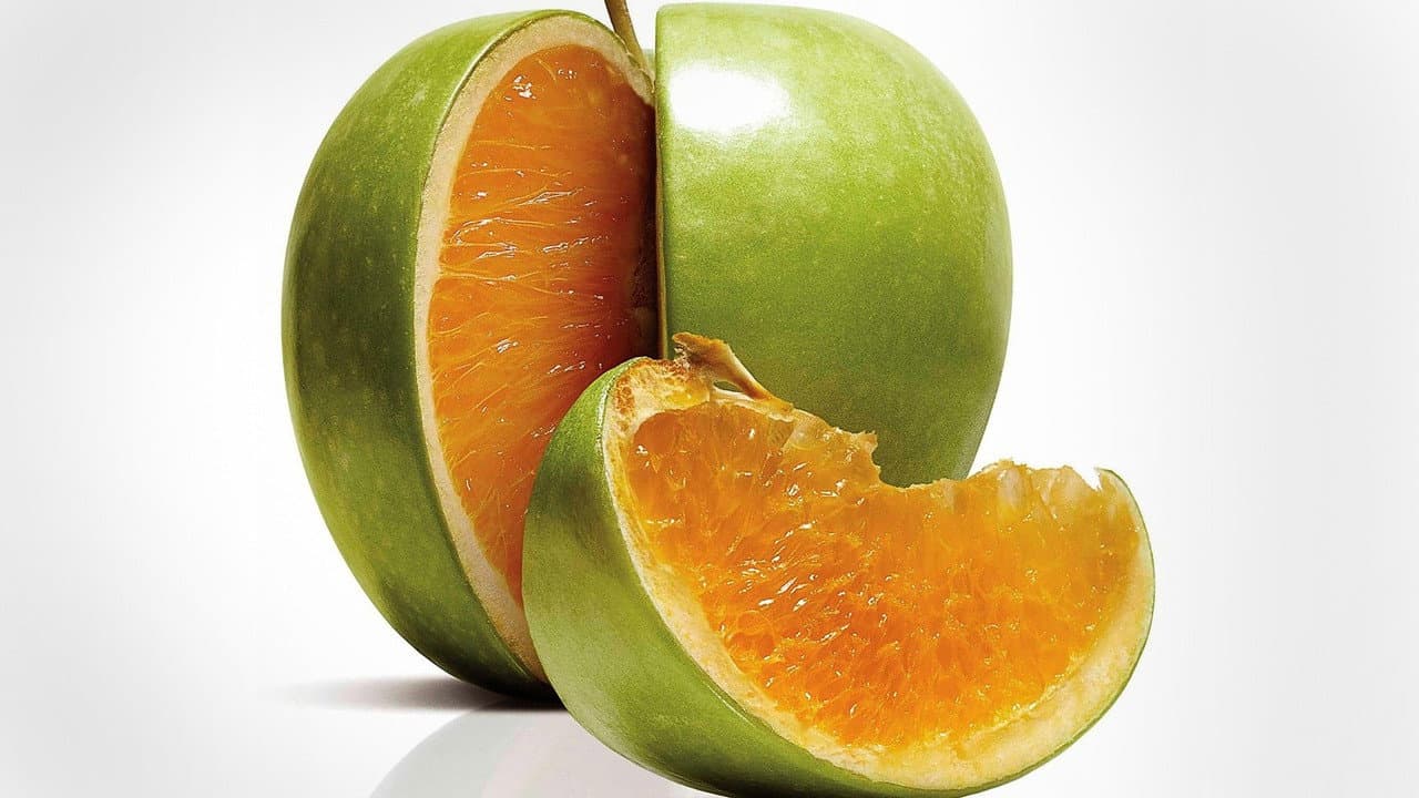Freakonomics still 6