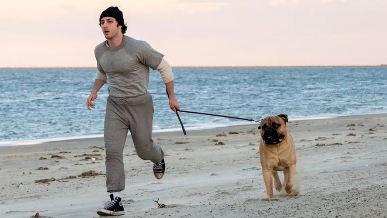 I Play Rocky (2026) Movie News & Updates | Peter Farrelly still 3
