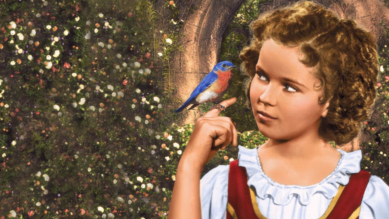 The Blue Bird still 6