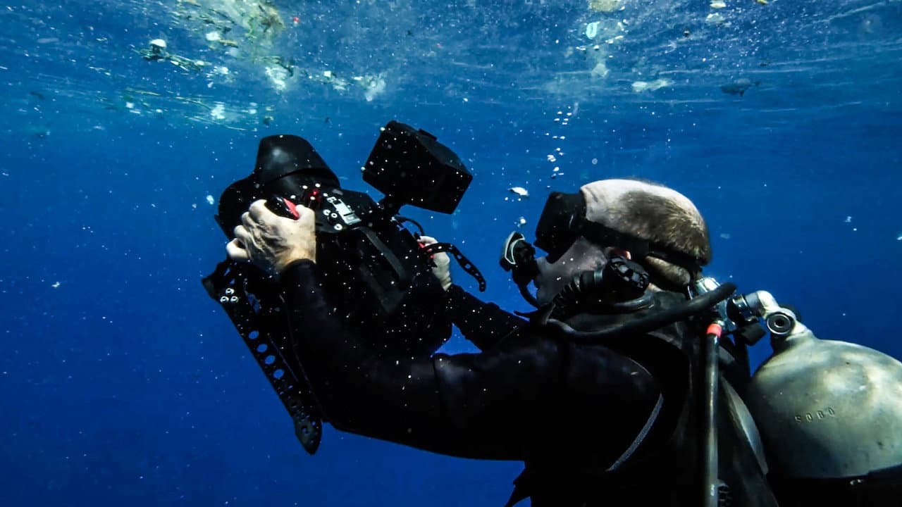 A Plastic Ocean still 7