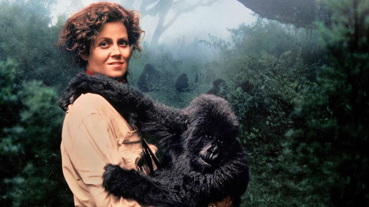 Gorillas in the Mist still 4