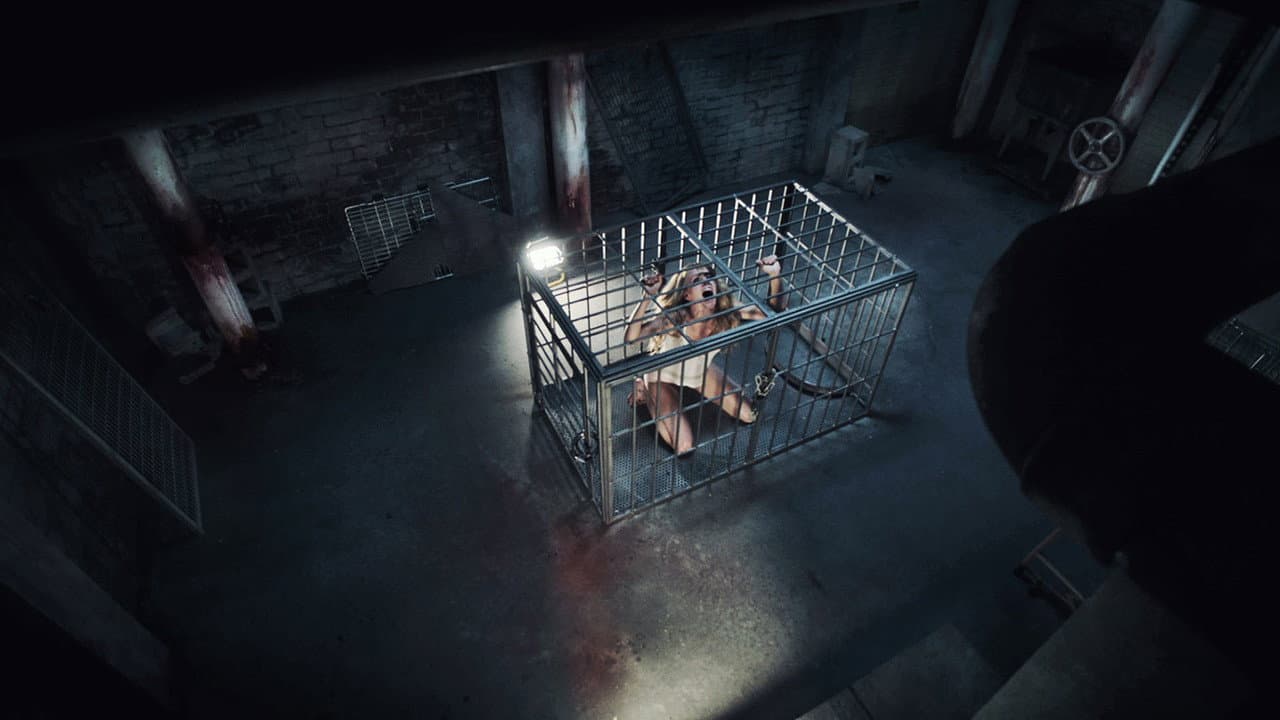 Pet still 2