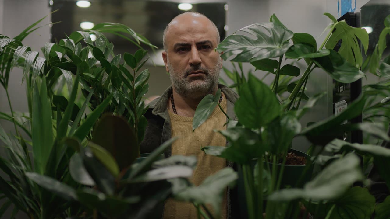 A Bit of Light (2026) News - Ali Asgari Film still 1