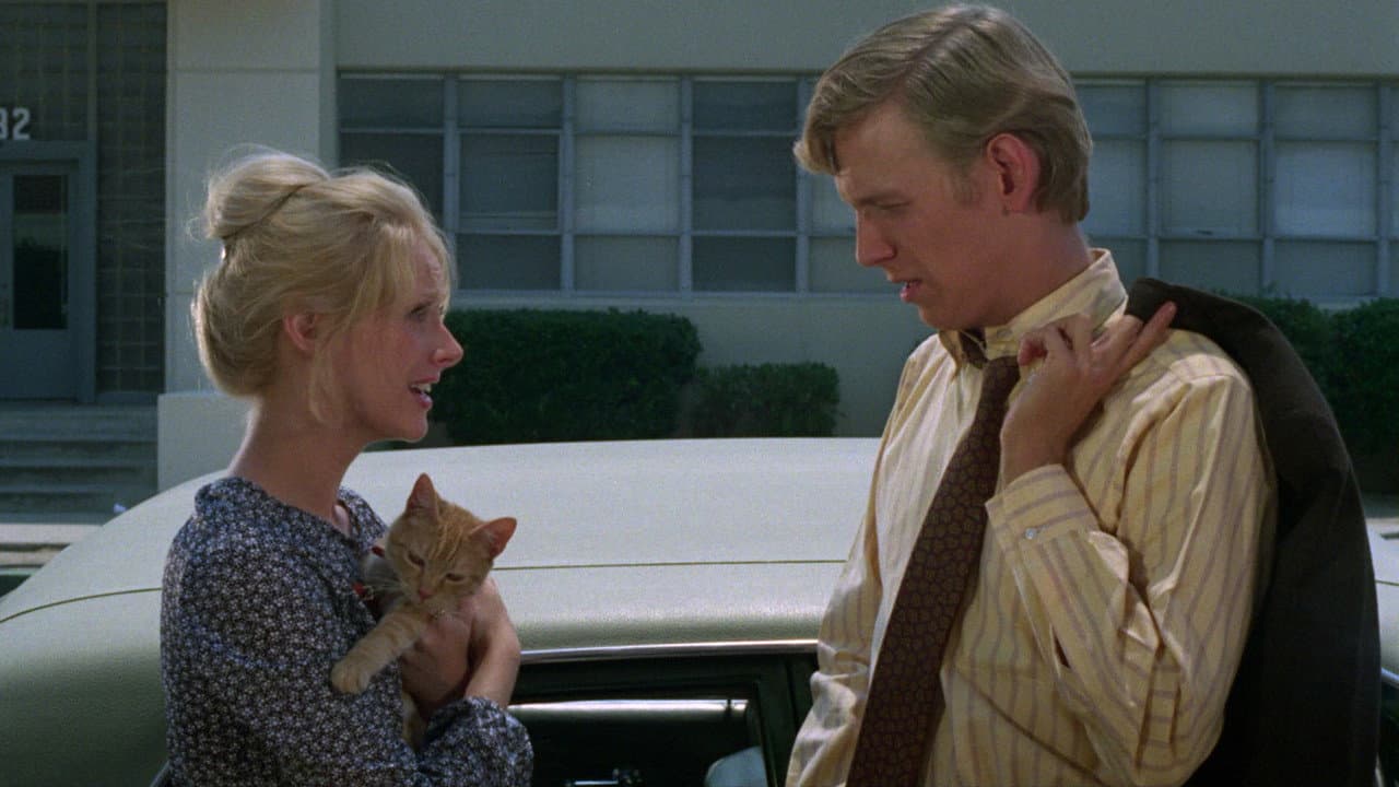 Willard still 5