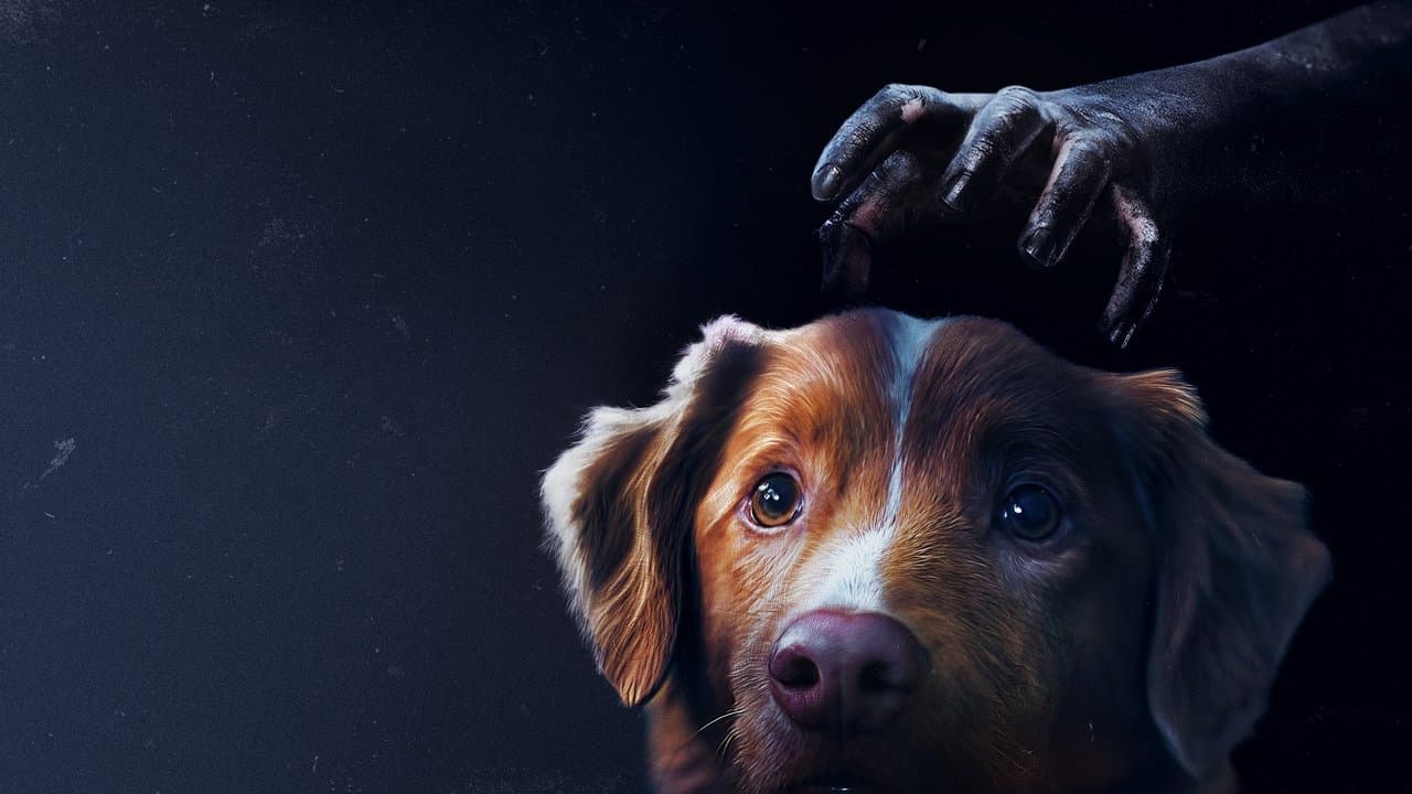 Good Boy still 1