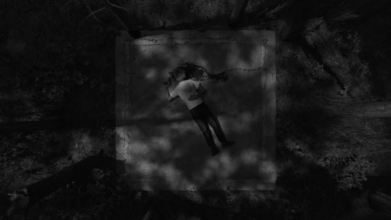 Variations on Violence Wins Oldenburg Film Festival still 2