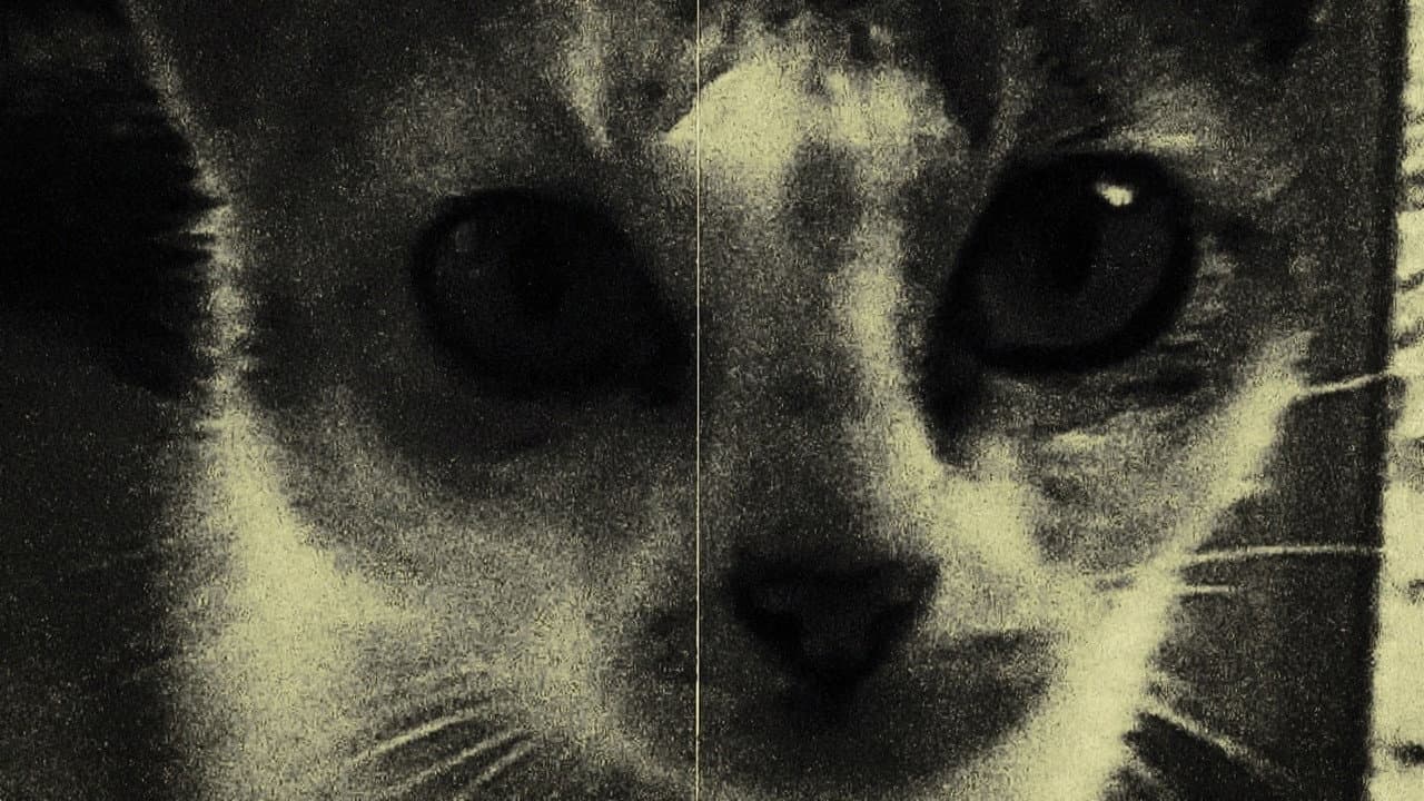 Personal Documentation I (2026) Film Review still 2