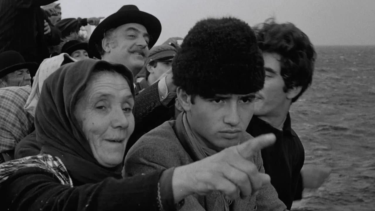 America America still 2