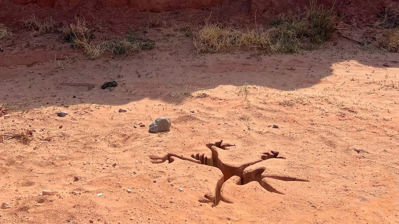 Coyote vs. Acme: Movie News & Updates still 3