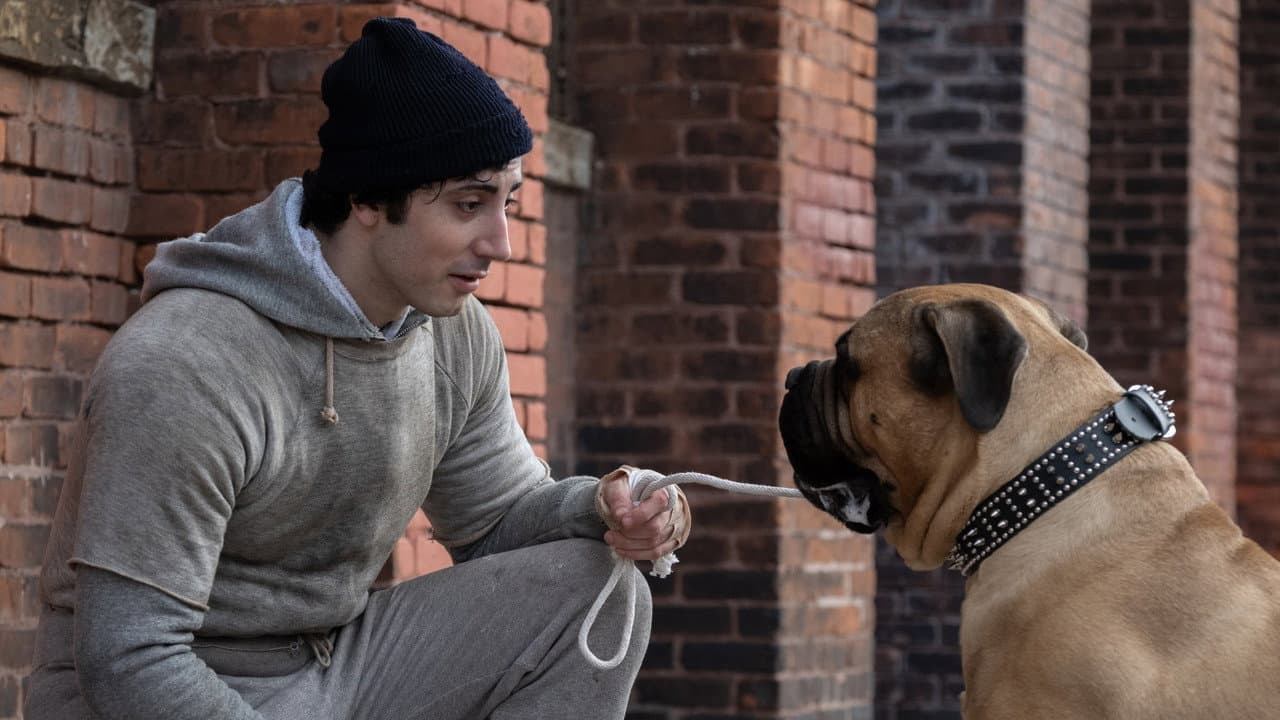 Stallone Reacts to I Play Rocky Biopic: "I'm Not Dead Yet" still 3