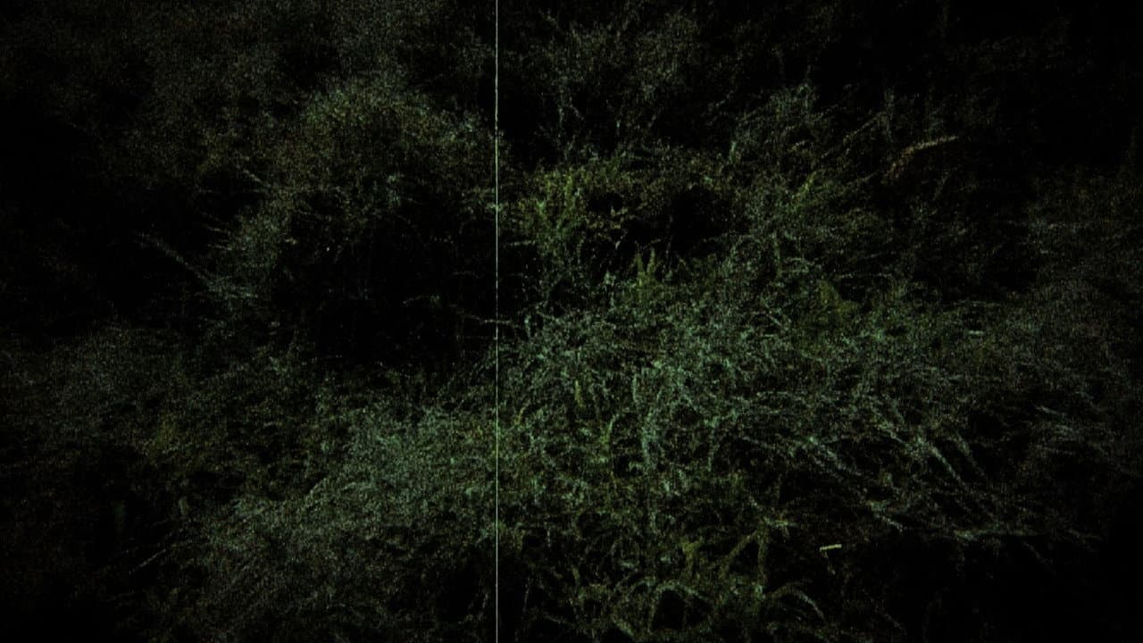 Personal Documentation I (2026) Film Review still 5