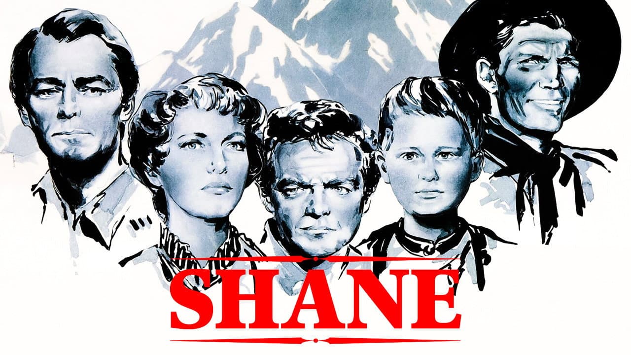 Shane still 8