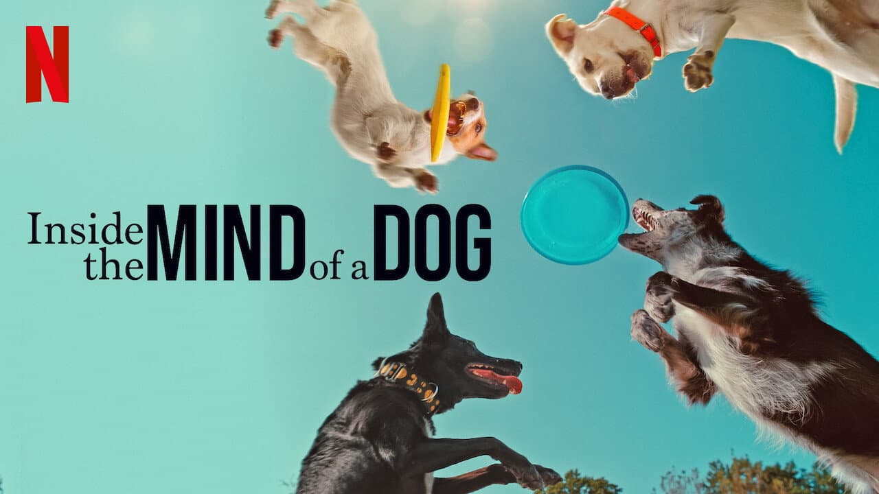 Inside the Mind of a Dog still 3
