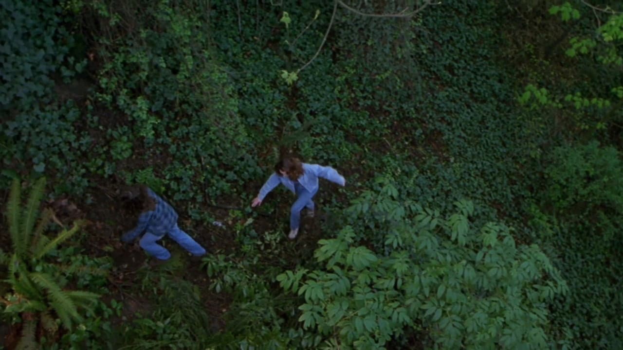 Foxfire still 6
