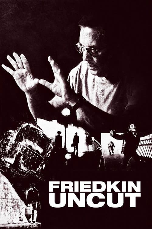 Friedkin Uncut still 8
