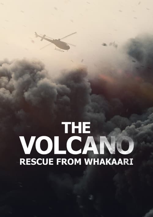 The Volcano: Rescue from Whakaari still 6