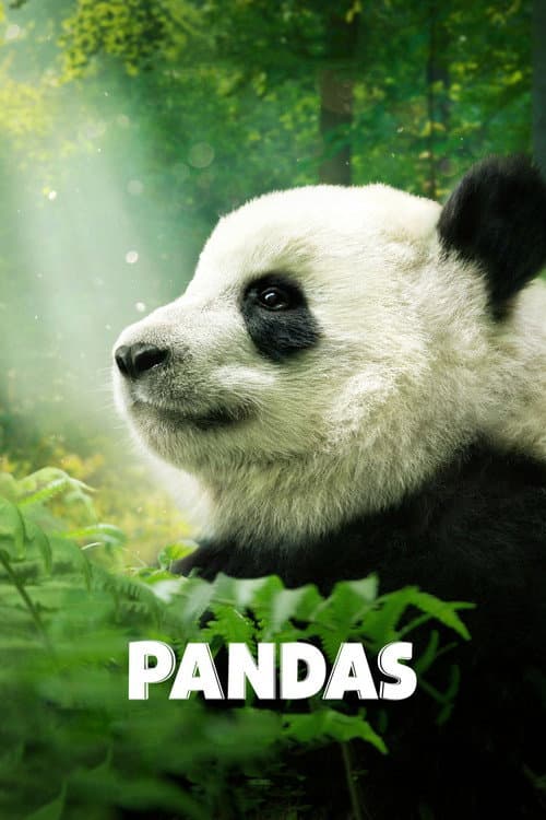 Pandas still 5