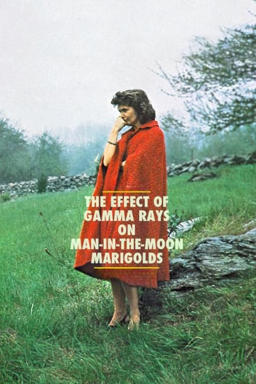The Effect of Gamma Rays on Man-in-the-Moon Marigolds still 6
