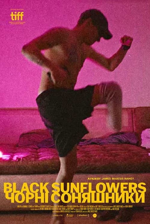 Black Sunflowers (2026): James Marcus Haney’s New Film still 1