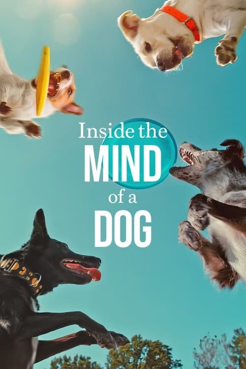 Inside the Mind of a Dog still 6