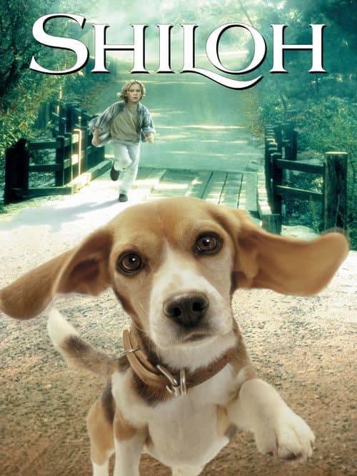 Shiloh still 5