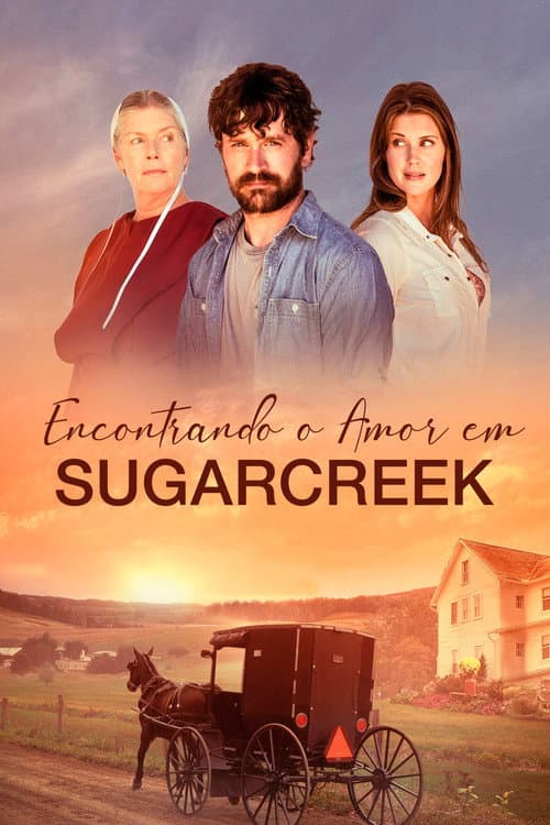 Love Finds You In Sugarcreek still 6