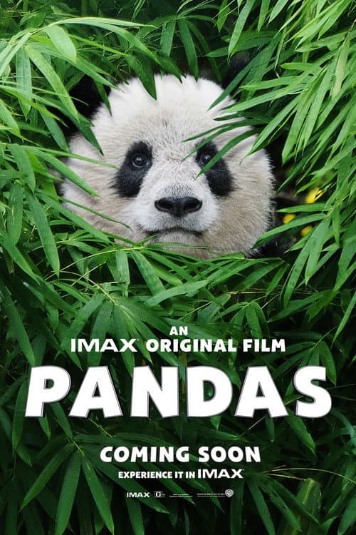 Pandas still 6