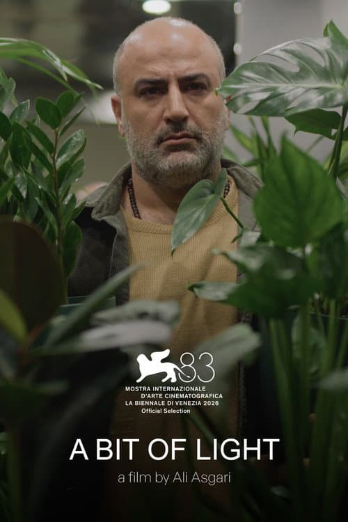 A Bit of Light (2026) News - Ali Asgari Film still 3