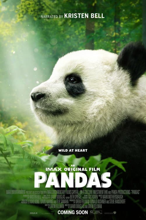 Pandas still 7