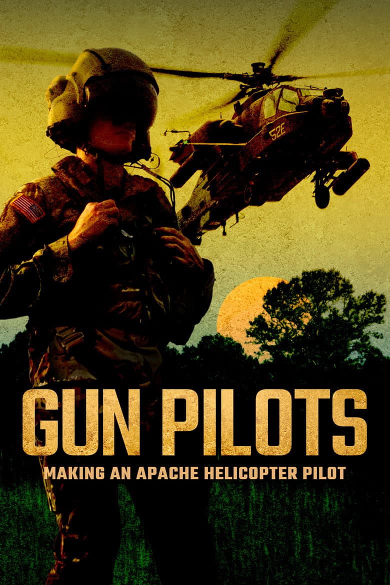Gun Pilots Movie Preview: Aerial Action Thriller